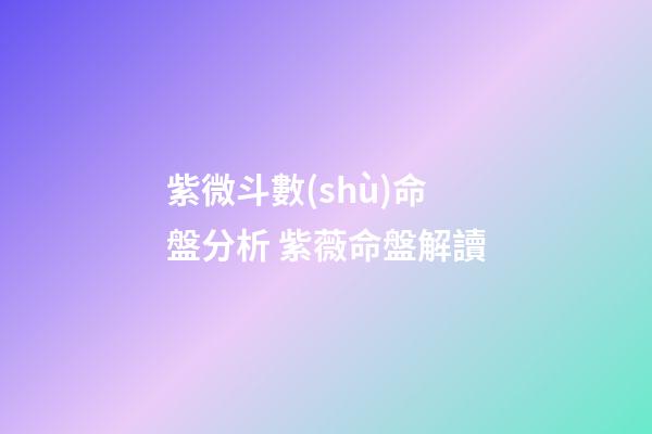 紫微斗數(shù)命盤分析 紫薇命盤解讀-第1張-觀點(diǎn)-玄機(jī)派
